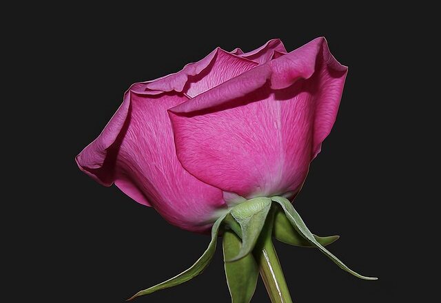 Traditioner og trends: Konfirmation igennem generationer